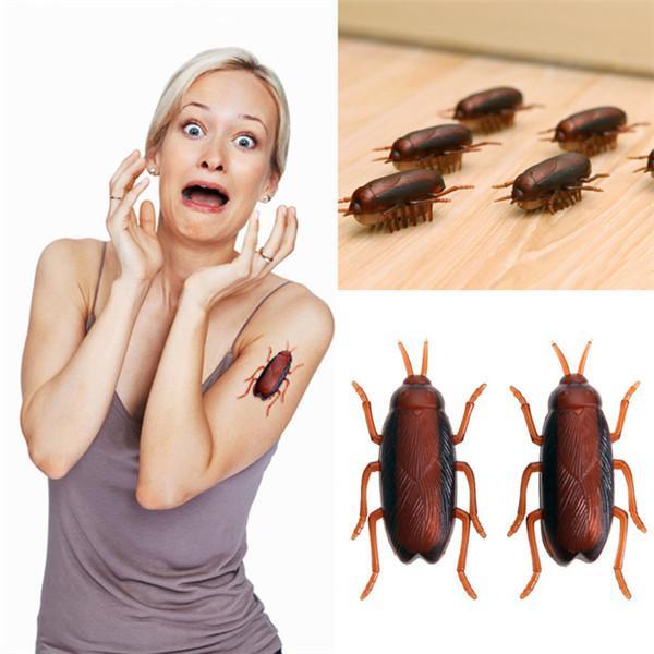 Electronic Cockroach Cat Toy
